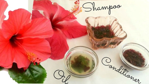Hibiscus For Skin and Hair care  4 Benefits  Side Effects